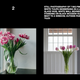 Imagen para el artículo titulado Una IA ha recreado las imágenes de un fotógrafo con resultados sorprendentes
